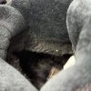 Ботинки 975419370033 — изображение 11